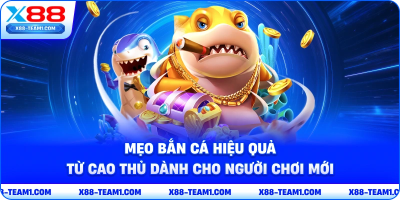 meo-ban-ca-hieu-qua-tu-cao-thu-danh-cho-nguoi-choi-moi